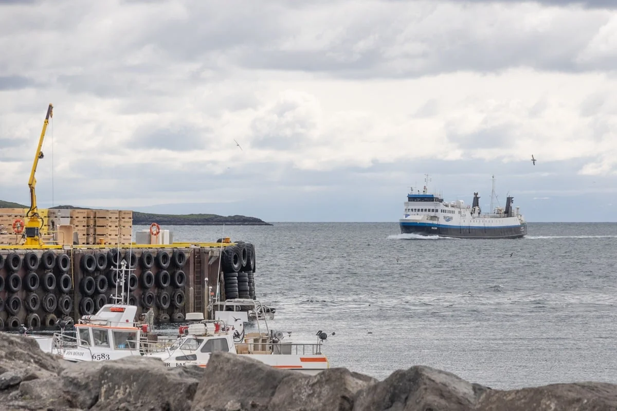 Ferry blanc et bleu approchant un quai avec bateaux de pêche