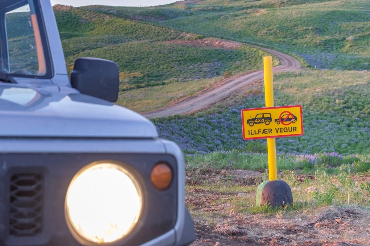 Panneau route 4x4 obligatoire devant une piste sinueuse et des lupins