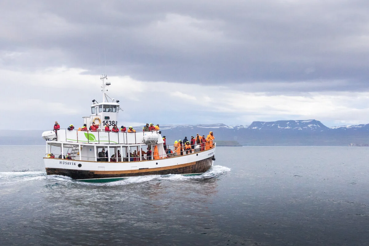 un bateau de tourisme navigue dans la baie