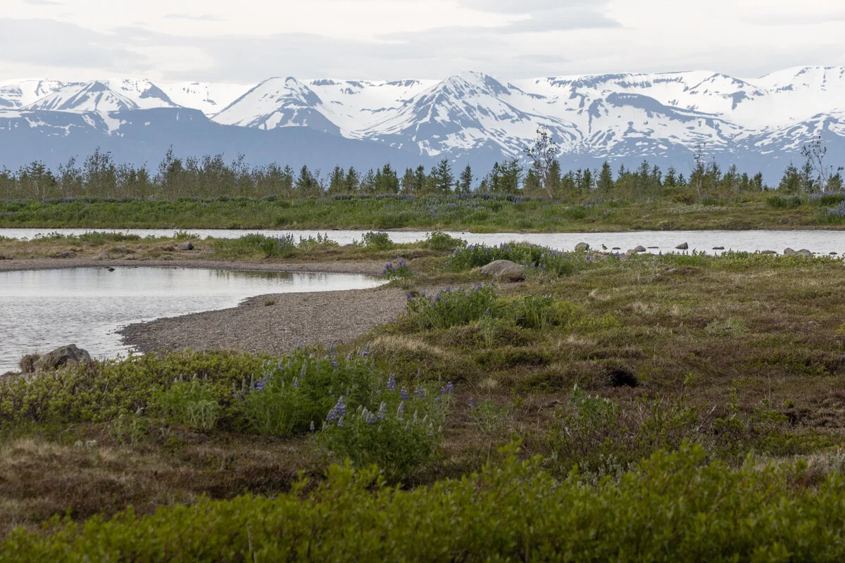 le lac Botnsvatn avec des montagnes enneigées en arrière-plan