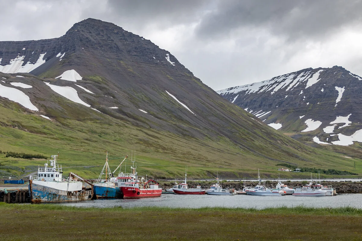des bateaux de pêche amarrés dans un petit port côtier