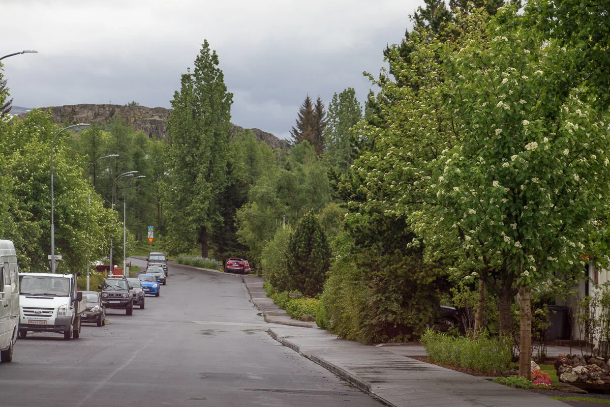 rue bordée d'arbres avec des voitures stationnées