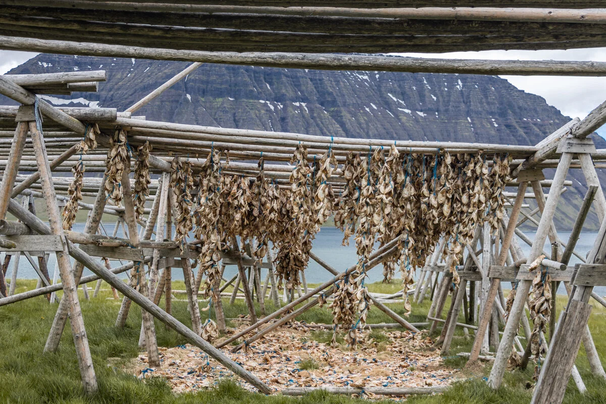 séchoir à poissons