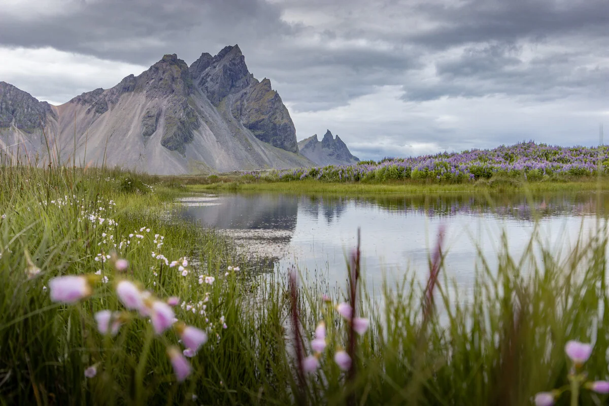 montagne rocheuse avec petit lagon et fleurs sauvages au premier plan