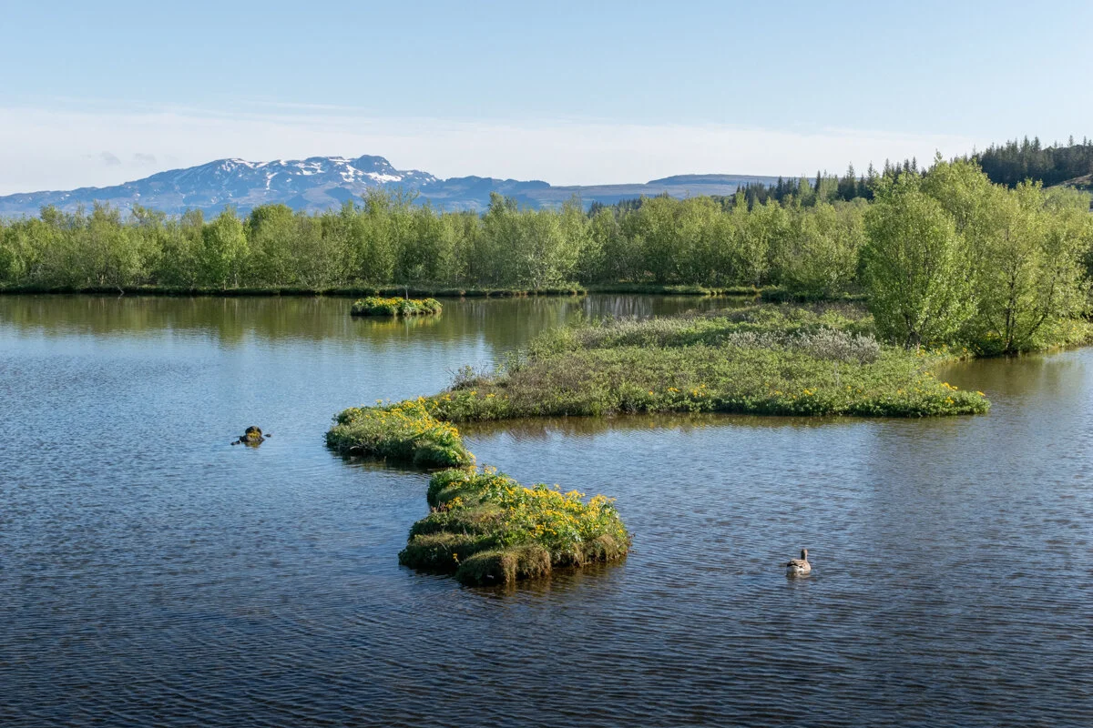 deux petites îles boisées dans un lac avec des montagnes en arrière-plan