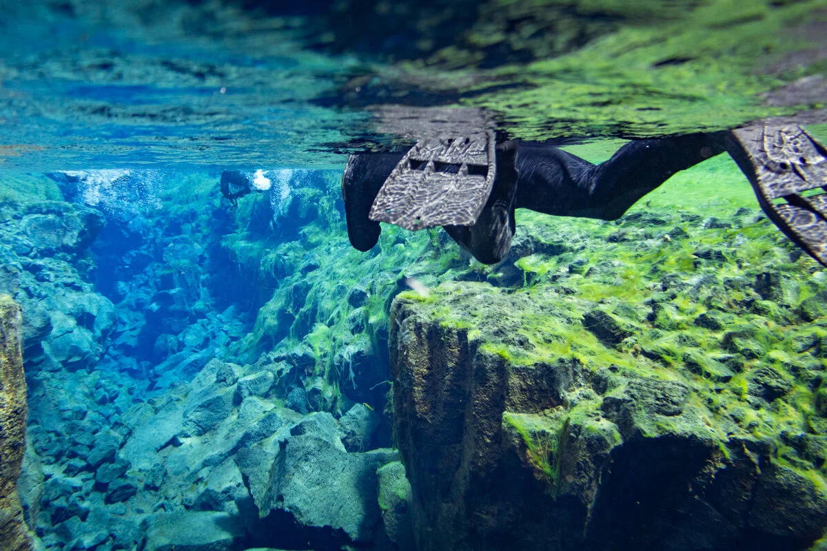 plongeur faisant du snorkeling dans les eaux pures de Silfra
