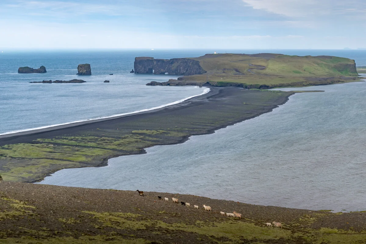 panorama depuis le sommet de Reynisfjall avec l'océan, la lagune et l'avancée de terre entre les deux